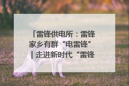雷锋供电所：雷锋家乡有群“电雷锋”｜走进新时代“雷锋传人 长沙榜样”