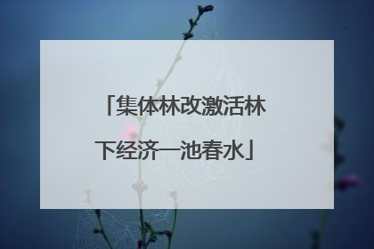 集体林改激活林下经济一池春水