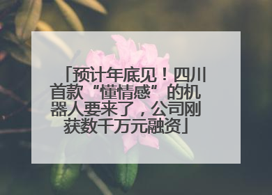 预计年底见！四川首款“懂情感”的机器人要来了，公司刚获数千万元融资