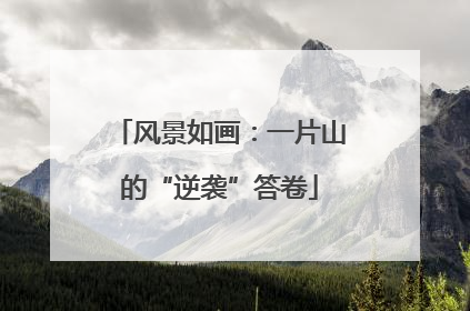 风景如画：一片山的“逆袭”答卷