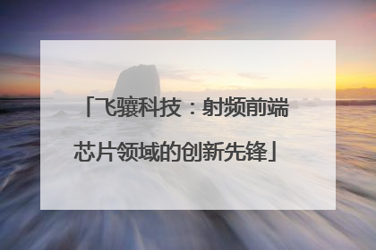 飞骧科技：射频前端芯片领域的创新先锋