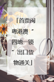 首票闽粤港澳“四地一锁”出口货物通关