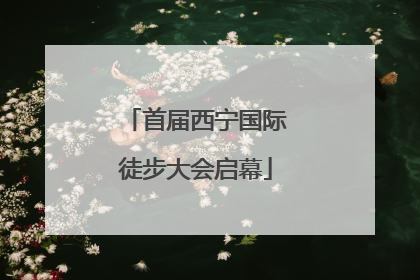 首届西宁国际徒步大会启幕