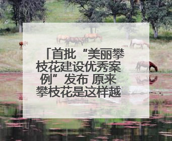 首批“美丽攀枝花建设优秀案例”发布 原来攀枝花是这样越变越美的