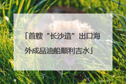 首艘“长沙造”出口海外成品油船顺利吉水
