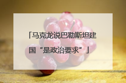 马克龙说巴勒斯坦建国“是政治要求”