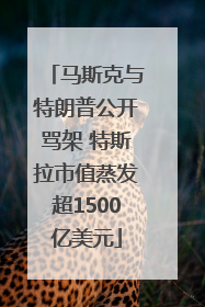 马斯克与特朗普公开骂架 特斯拉市值蒸发超1500亿美元