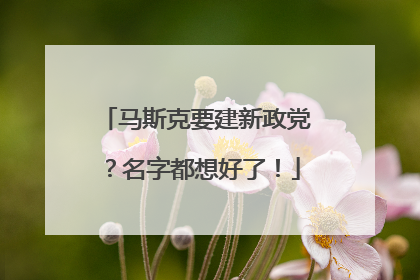 马斯克要建新政党？名字都想好了！