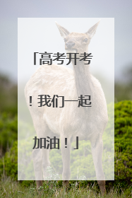 高考开考！我们一起加油！
