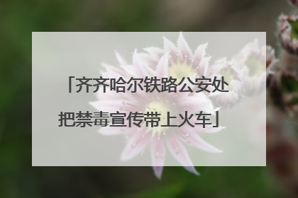 齐齐哈尔铁路公安处把禁毒宣传带上火车