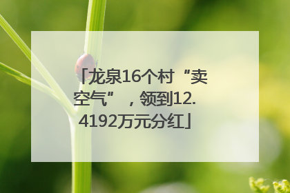 龙泉16个村“卖空气”，领到12.4192万元分红