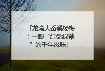 龙湾大岙溪杨梅：一颗“红盘绿蒂”的千年滋味