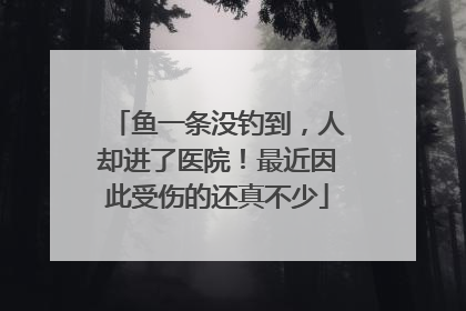 鱼一条没钓到，人却进了医院！最近因此受伤的还真不少