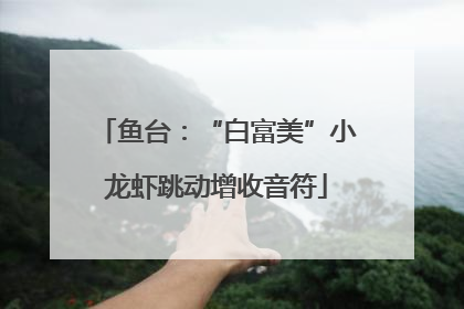 鱼台：“白富美”小龙虾跳动增收音符