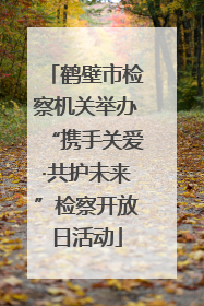 鹤壁市检察机关举办“携手关爱·共护未来”检察开放日活动