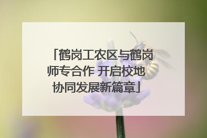 鹤岗工农区与鹤岗师专合作 开启校地协同发展新篇章
