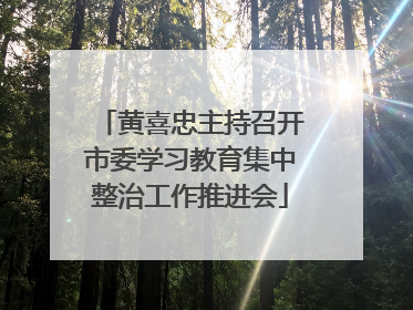 黄喜忠主持召开市委学习教育集中整治工作推进会