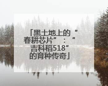 黑土地上的“春耕芯片”：“吉科稻518”的育种传奇