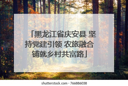 黑龙江省庆安县 坚持党建引领 农旅融合铺就乡村共富路