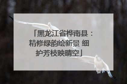 黑龙江省桦南县：精修绿韵绘新景 细护芳枝映晴空
