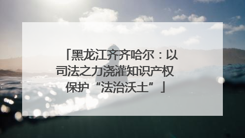 黑龙江齐齐哈尔：以司法之力浇灌知识产权保护“法治沃土”