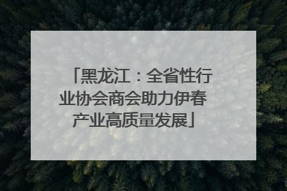 黑龙江：全省性行业协会商会助力伊春产业高质量发展