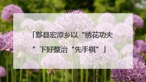 黟县宏潭乡以“绣花功夫”下好整治“先手棋”