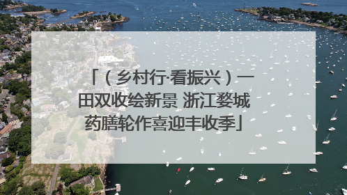 （乡村行·看振兴）一田双收绘新景 浙江婺城药膳轮作喜迎丰收季