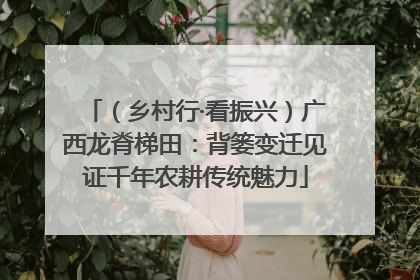（乡村行·看振兴）广西龙脊梯田：背篓变迁见证千年农耕传统魅力