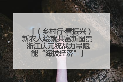 （乡村行·看振兴）新农人绘就共富新图景 浙江庆元统战力量赋能“海拔经济”