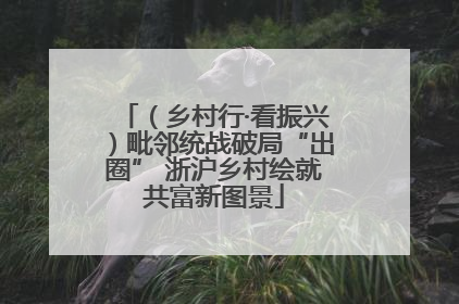 （乡村行·看振兴）毗邻统战破局“出圈” 浙沪乡村绘就共富新图景