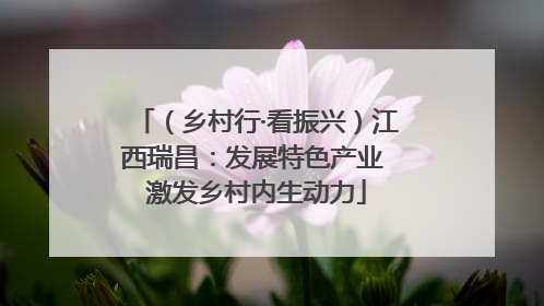 （乡村行·看振兴）江西瑞昌：发展特色产业 激发乡村内生动力