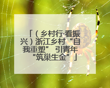 （乡村行·看振兴）浙江乡村“自我重塑” 引青年“筑巢生金”