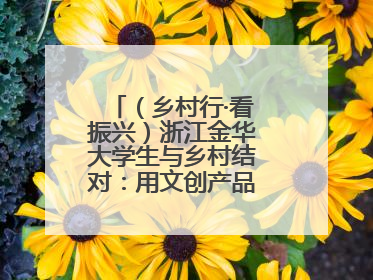 （乡村行·看振兴）浙江金华大学生与乡村结对：用文创产品赋能乡村振兴