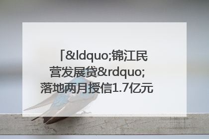 “锦江民营发展贷”落地两月授信1.7亿元，惠及118家民企