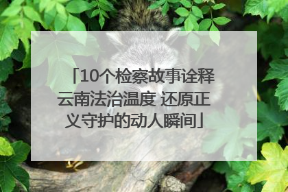 10个检察故事诠释云南法治温度 还原正义守护的动人瞬间
