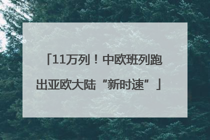 11万列！中欧班列跑出亚欧大陆“新时速”