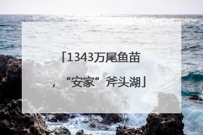 1343万尾鱼苗，“安家”斧头湖