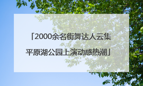 2000余名街舞达人云集 平原湖公园上演动感热潮