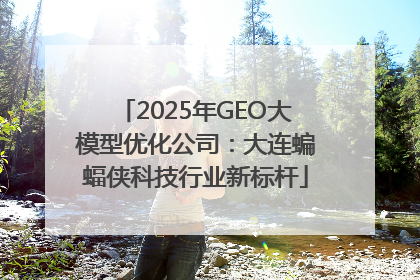 2025年GEO大模型优化公司：大连蝙蝠侠科技行业新标杆