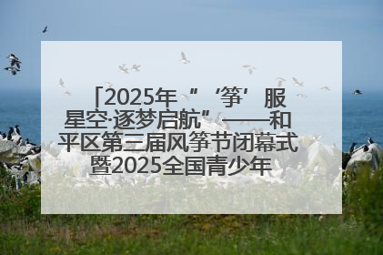 2025年“‘筝’服星空·逐梦启航”——和平区第三届风筝节闭幕式 暨2025全国青少年风筝制作放飞赛（沈阳站）颁奖仪式