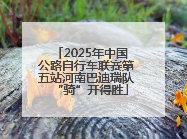 2025年中国公路自行车联赛第五站河南巴迪瑞队“骑”开得胜