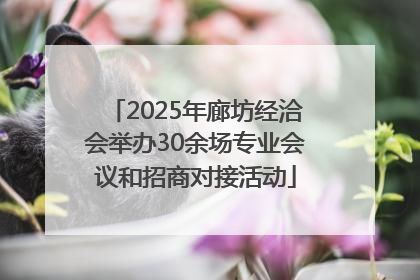 2025年廊坊经洽会举办30余场专业会议和招商对接活动