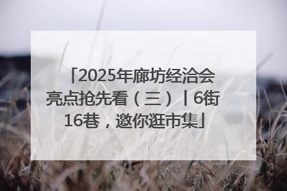 2025年廊坊经洽会亮点抢先看（三）丨6街16巷，邀你逛市集