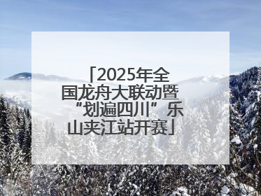 2025年全国龙舟大联动暨“划遍四川”乐山夹江站开赛