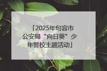 2025年句容市公安局“向日葵”少年警校主题活动
