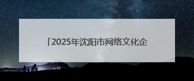 2025年沈阳市网络文化企业进校园双选活动正式启动