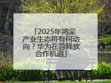 2025年鸿蒙产业生态将有何动向？华为在蓉释放合作机遇