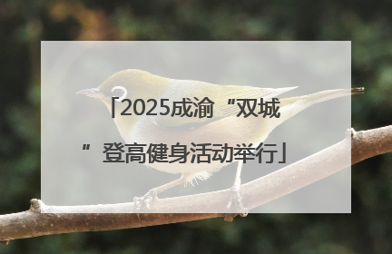 2025成渝“双城”登高健身活动举行