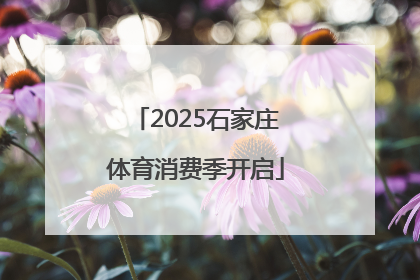 2025石家庄体育消费季开启
